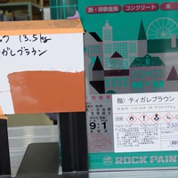 特価品_2液型ユメロック