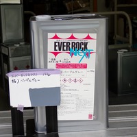 特価品_エバーロックネクスト艶消