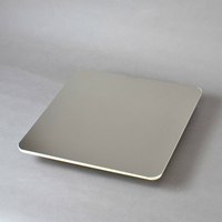大塚　ステンレスパテ板　L