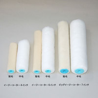 ミドル　ボンパラゴン(外壁・内壁・鉄部)