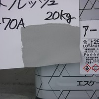 特価品　SK　アートフレッシュ　*