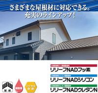 日特　リリーフNADフッ素