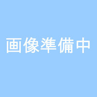 ローラー継柄　エバーロック4～8F(2.4m)