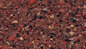 NCA-18