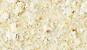 NVS-303-A