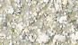 NVS-304-A