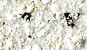 NVS-306-A