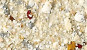 NVS-401-B