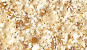 NVS-402-B