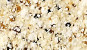 NVS-404-B