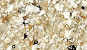 NVS-406-B