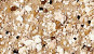 NVS-408-B