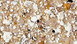 NVS-409-B