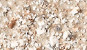 NVS-413-B