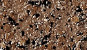 NVS-502-C