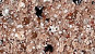 NVS-503-C