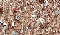 NVS-504-C