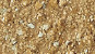 NVS-505-C
